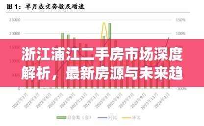 浙江浦江二手房市場(chǎng)深度解析，最新房源與未來(lái)趨勢(shì)展望（2024）