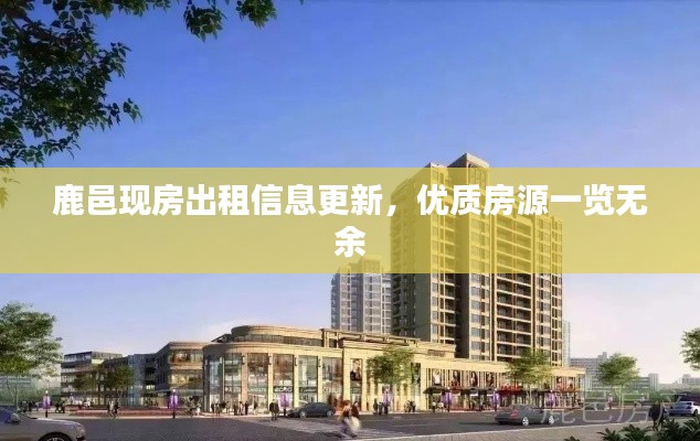 鹿邑現(xiàn)房出租信息更新，優(yōu)質房源一覽無余