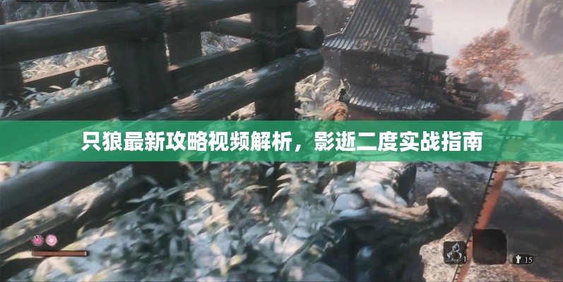 只狼最新攻略視頻解析，影逝二度實戰(zhàn)指南