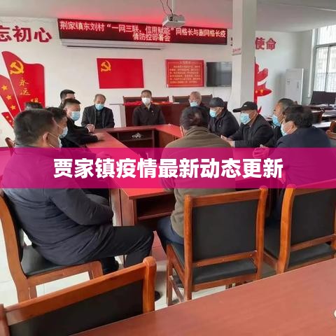 賈家鎮(zhèn)疫情最新動態(tài)更新