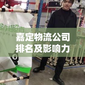 嘉定物流公司排名及影響力深度解析