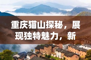 重慶貓山探秘，展現(xiàn)獨(dú)特魅力，新聞?lì)^條帶你領(lǐng)略山城風(fēng)采