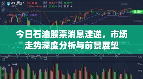 今日石油股票消息速遞，市場走勢深度分析與前景展望