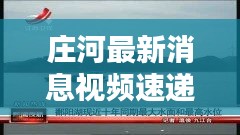 莊河最新消息視頻速遞，今日熱點(diǎn)一覽無余