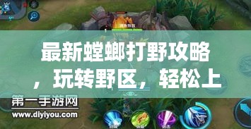 最新螳螂打野攻略，玩轉(zhuǎn)野區(qū)，輕松上分！