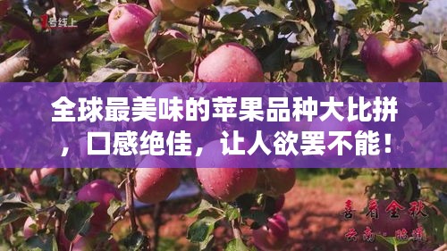 大事夸張 第2頁