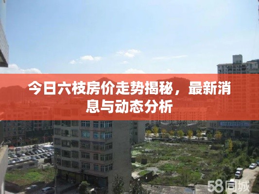 今日六枝房?jī)r(jià)走勢(shì)揭秘，最新消息與動(dòng)態(tài)分析