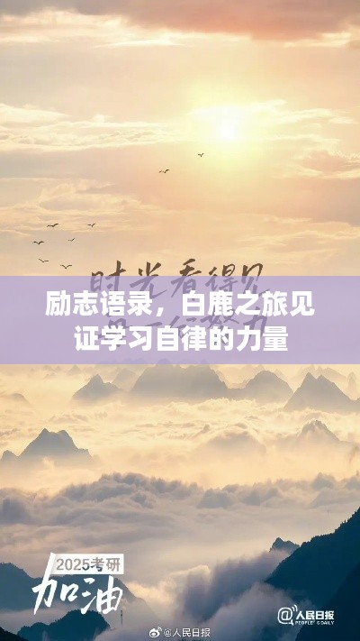 勵(lì)志語錄，白鹿之旅見證學(xué)習(xí)自律的力量