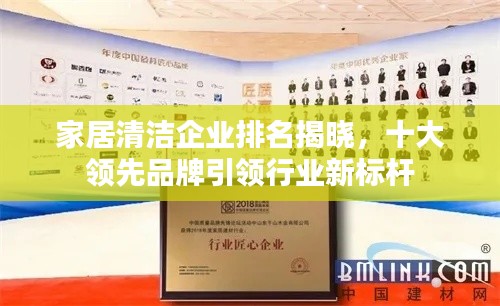 家居清潔企業(yè)排名揭曉，十大領(lǐng)先品牌引領(lǐng)行業(yè)新標桿