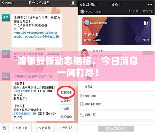 浦銀最新動態(tài)揭秘，今日消息一網(wǎng)打盡！