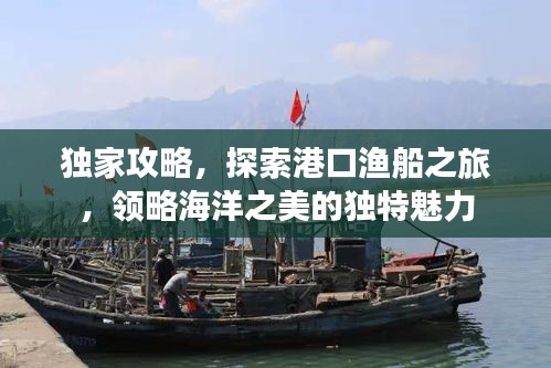 獨(dú)家攻略，探索港口漁船之旅，領(lǐng)略海洋之美的獨(dú)特魅力