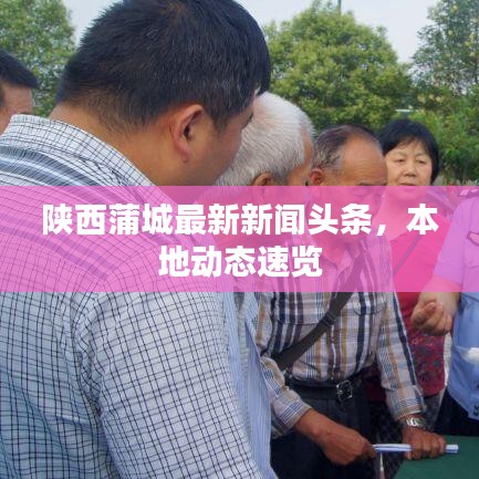 陜西蒲城最新新聞?lì)^條，本地動(dòng)態(tài)速覽