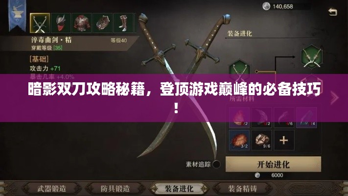 暗影雙刀攻略秘籍，登頂游戲巔峰的必備技巧！