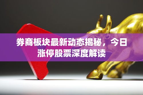 券商板塊最新動(dòng)態(tài)揭秘，今日漲停股票深度解讀