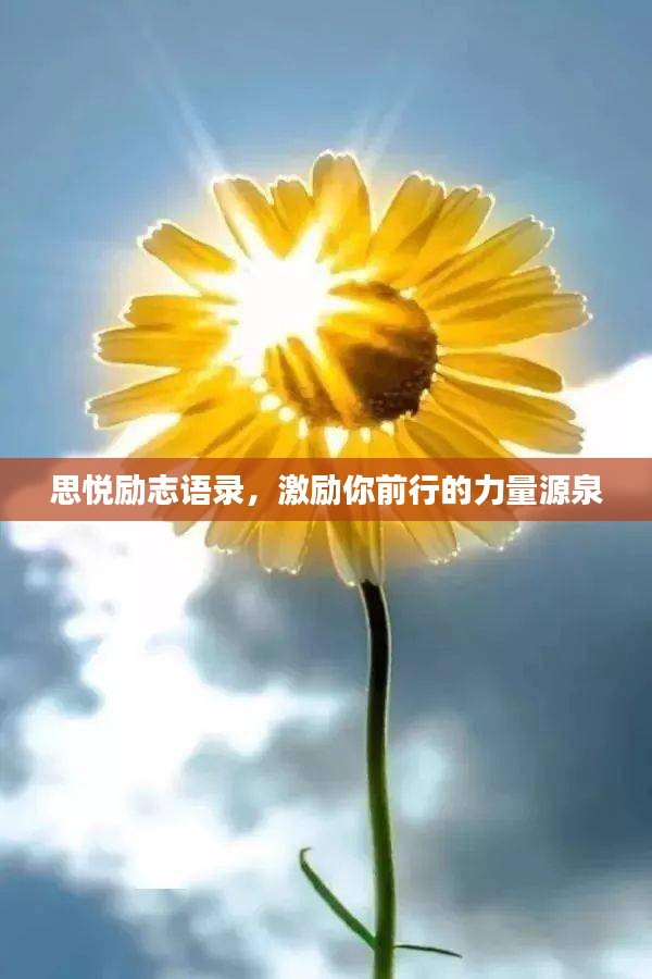 思悅勵(lì)志語(yǔ)錄，激勵(lì)你前行的力量源泉