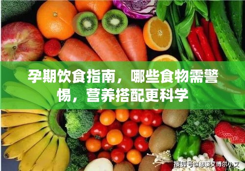 孕期飲食指南，哪些食物需警惕，營養(yǎng)搭配更科學(xué)