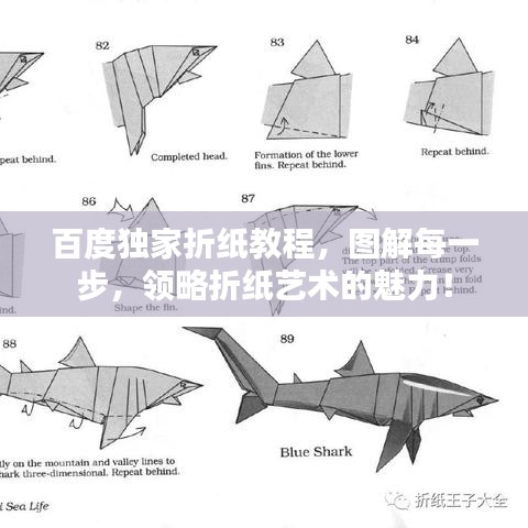 百度獨家折紙教程，圖解每一步，領略折紙藝術的魅力！
