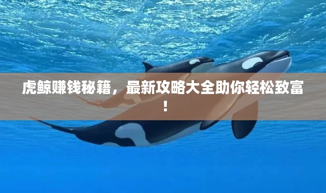 虎鯨賺錢秘籍，最新攻略大全助你輕松致富！