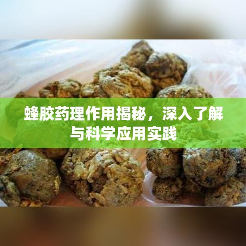 令行禁止
