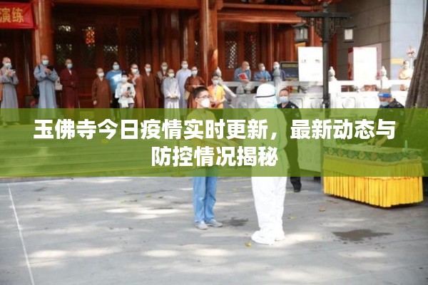 玉佛寺今日疫情實時更新，最新動態(tài)與防控情況揭秘
