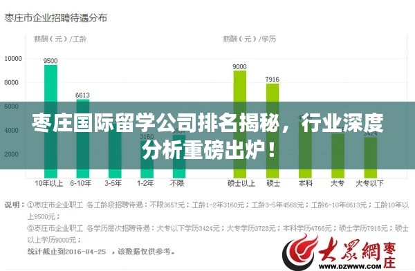 棗莊國際留學公司排名揭秘，行業(yè)深度分析重磅出爐！