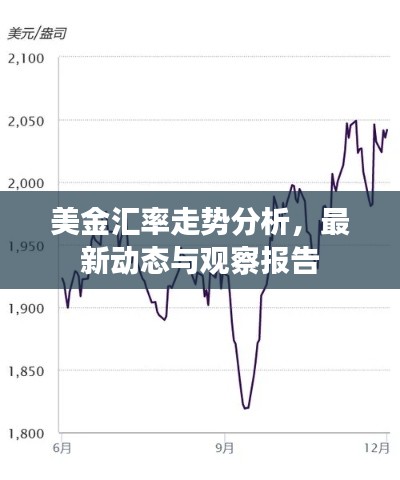 美金匯率走勢分析，最新動態(tài)與觀察報告