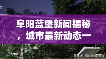 阜陽藍(lán)堡新聞揭秘，城市最新動態(tài)一網(wǎng)打盡