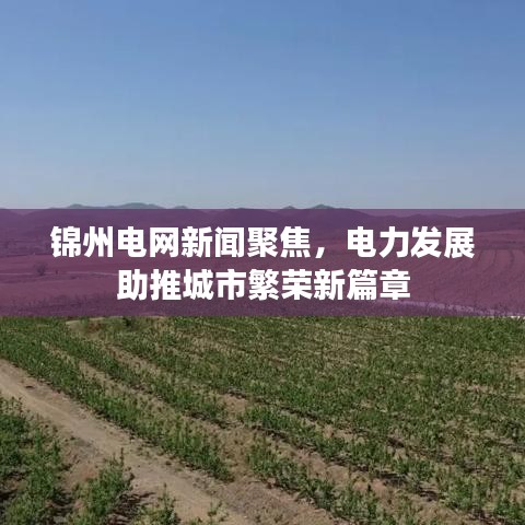 錦州電網(wǎng)新聞聚焦，電力發(fā)展助推城市繁榮新篇章