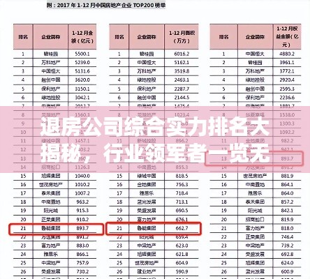 退房公司綜合實(shí)力排名大揭秘，行業(yè)領(lǐng)軍者一覽無余