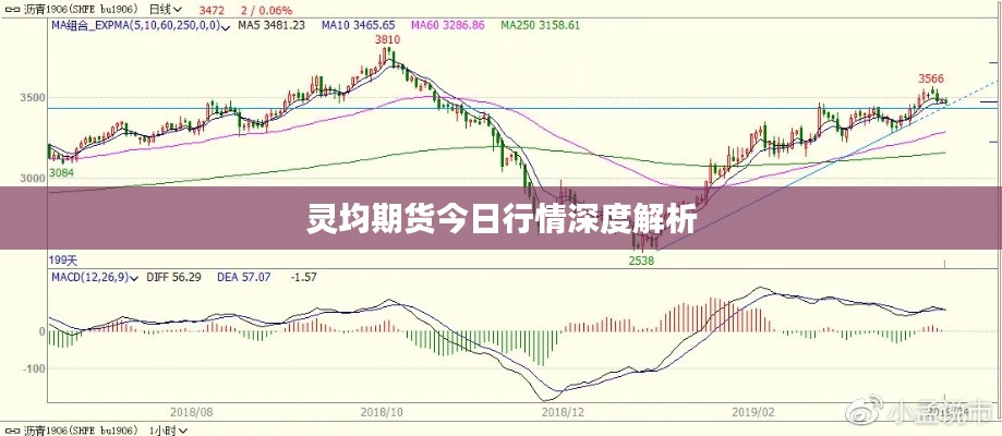 靈均期貨今日行情深度解析