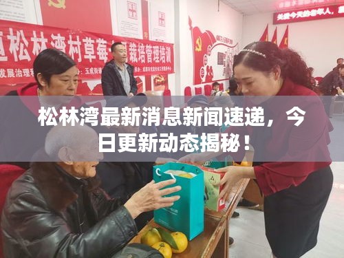 松林灣最新消息新聞速遞，今日更新動態(tài)揭秘！