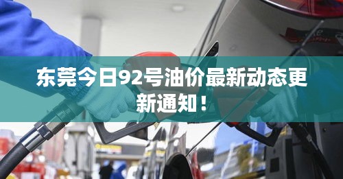 東莞今日92號油價(jià)最新動態(tài)更新通知！