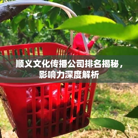順義文化傳播公司排名揭秘，影響力深度解析