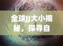 全球JJ大小揭秘，探尋自然界的神秘奇跡