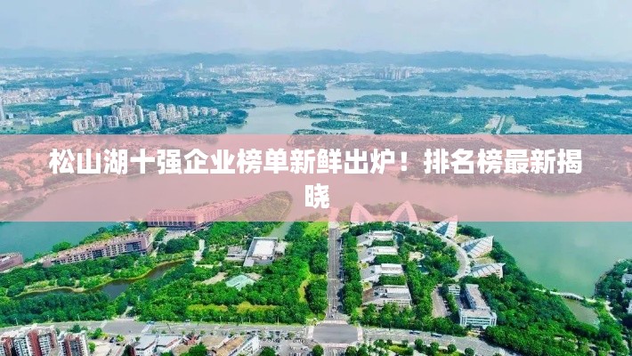 松山湖十強(qiáng)企業(yè)榜單新鮮出爐！排名榜最新揭曉