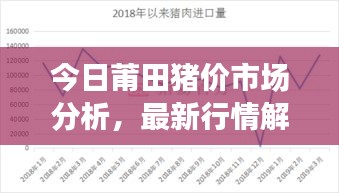 今日莆田豬價市場分析，最新行情解讀