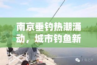 南京垂釣熱潮涌動，城市釣魚新聞頭條直播探尋新風(fēng)尚
