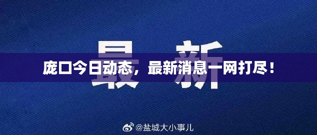 龐口今日動(dòng)態(tài)，最新消息一網(wǎng)打盡！