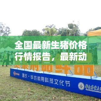 全國最新生豬價格行情報告，最新動態(tài)一網打盡