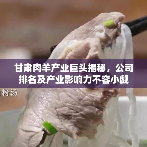 甘肅肉羊產(chǎn)業(yè)巨頭揭秘，公司排名及產(chǎn)業(yè)影響力不容小覷