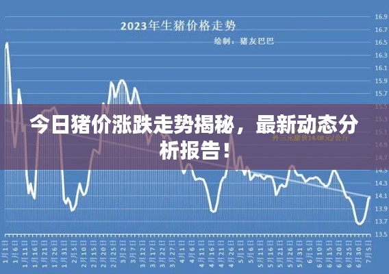 今日豬價(jià)漲跌走勢(shì)揭秘，最新動(dòng)態(tài)分析報(bào)告！