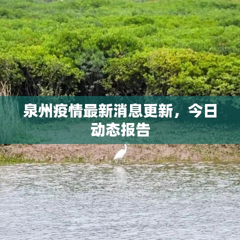 泉州疫情最新消息更新，今日動態(tài)報告