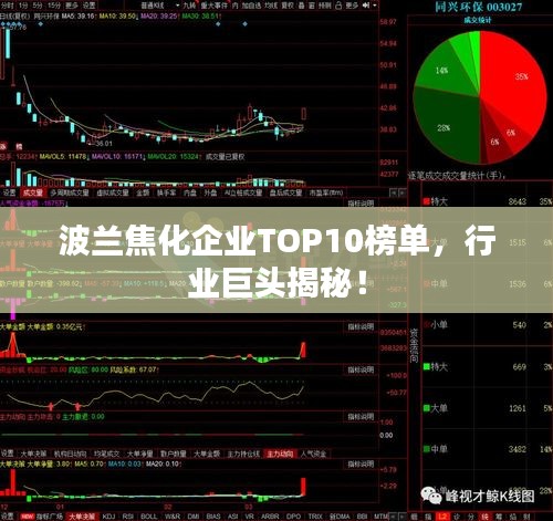 波蘭焦化企業(yè)TOP10榜單，行業(yè)巨頭揭秘！
