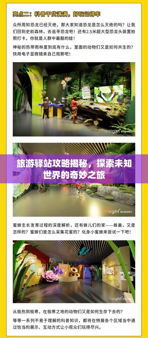 旅游驛站攻略揭秘，探索未知世界的奇妙之旅