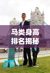 馬類身高排名揭秘，全球十大最高馬種盤點(diǎn)