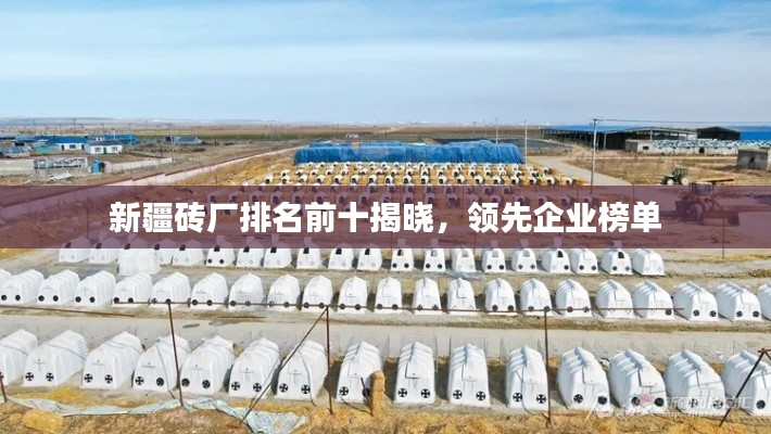 新疆磚廠排名前十揭曉，領(lǐng)先企業(yè)榜單