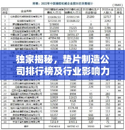獨家揭秘，墊片制造公司排行榜及行業(yè)影響力分析