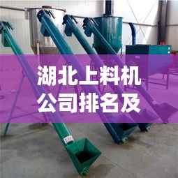 湖北上料機公司排名及行業(yè)深度剖析