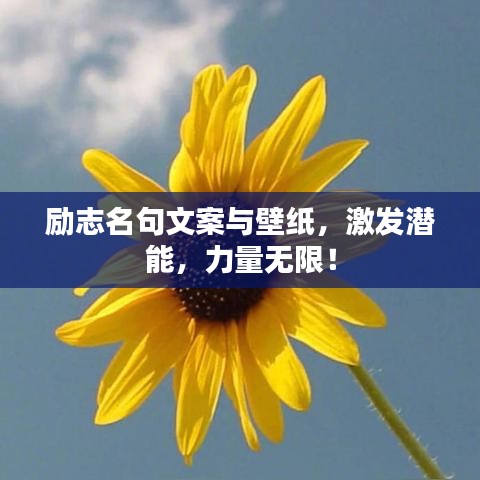 勵(lì)志名句文案與壁紙，激發(fā)潛能，力量無限！