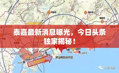 泰嘉最新消息曝光，今日頭條獨家揭秘！